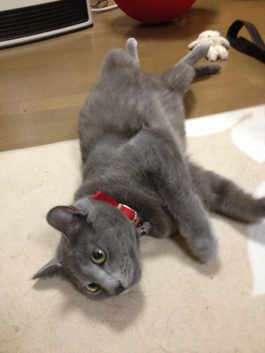 オセロ中島騒動について思うこと：２【人気占い師の役割とは？】