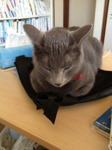 残酷な現実と、どう向き合う？【占い師のための心理学講座】