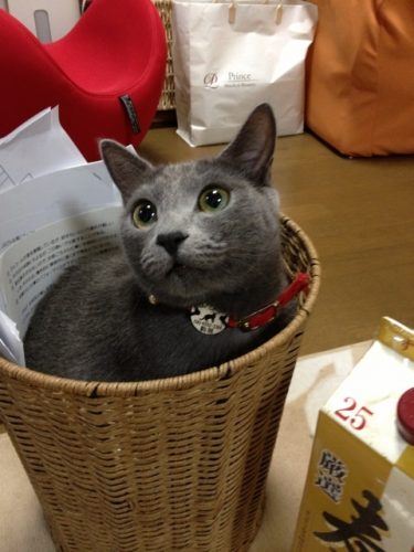 ツイてない？本当に？