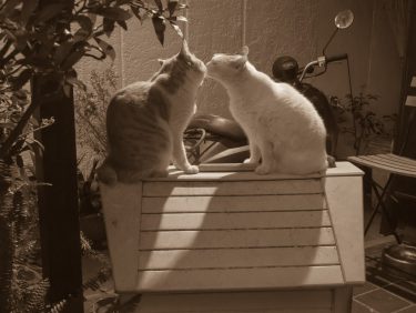 相談者を「モテさせる」と全てが上手くいく理由