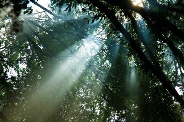 相手の「癒し」になるための方法