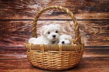 付き合うべきかどうかを判断するには、どうしたらいい？