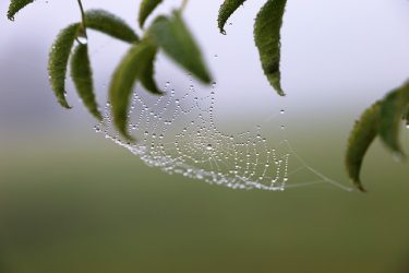 占いと福祉は実は近しい位置にあります