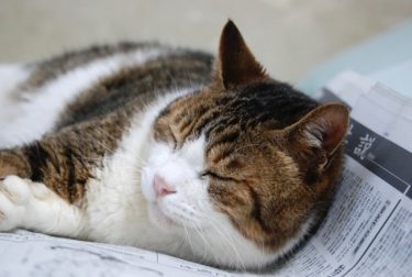 無関心でいる事の効用