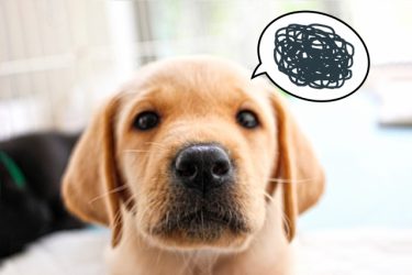 嫌われることを恐れるから、振り向いてもらえない