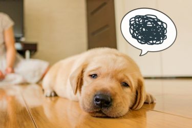 世界で一番失敗する人とは…