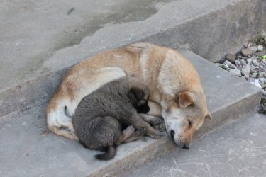 寄り添うために必要な質問力