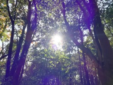 スピリチュアルとは何か？│スピリチュアルカウンセリングの占い師養成 