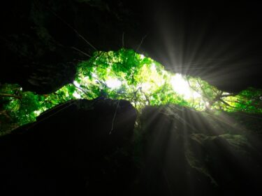 ただ、「理解」を求めればいい