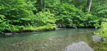 神さまがささやくタイミング