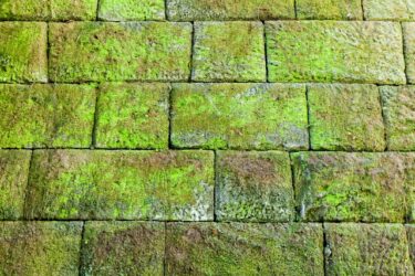 なぜ、願うと最初に障害が生まれるのか？