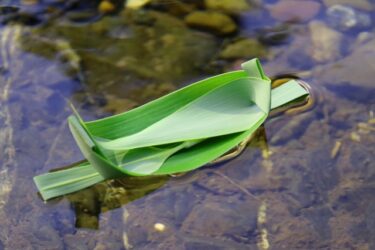 必要なことは必ず起こる。だから安心して流れに身を任せる