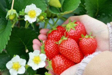 「無い」から「有る」へ：豊かさへの道は「無い」から始まる