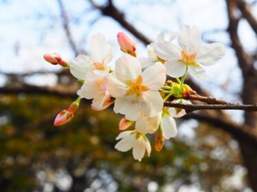 好転する変化は小さな変化の積み重ね