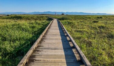 占い・スピリチュアルの世界を「やり尽くした」私が、もう一度立ち止まった理由